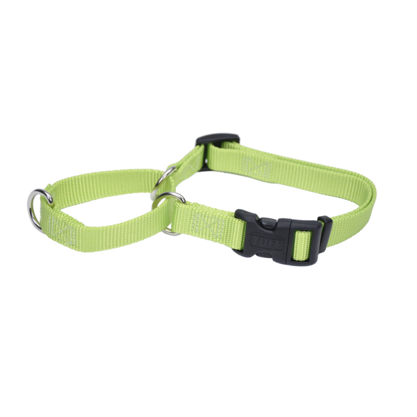 Coastal No! Slip Martingale Dog Collar with Buckle 3/4" x 22" Lime Green