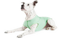 Sticky Image
