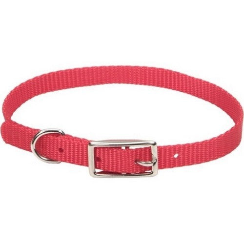 Coastal Pet Nylon Dog Collar - Red, 3/8 in x 12 in, Adjustable