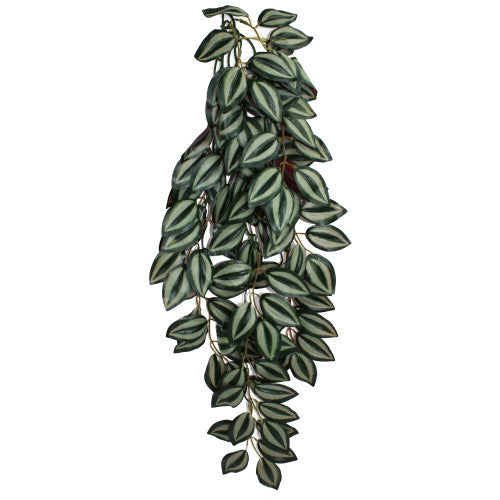 Komodo Zebrina Hanging Plant - Large, 26 Inch Reptile Terrarium Decor