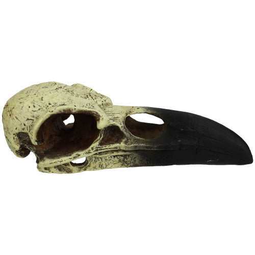 Komodo Raven Skull Hideout - Medium Reptile Terrarium Ornament, 6 inch Resin Hideaway Decor