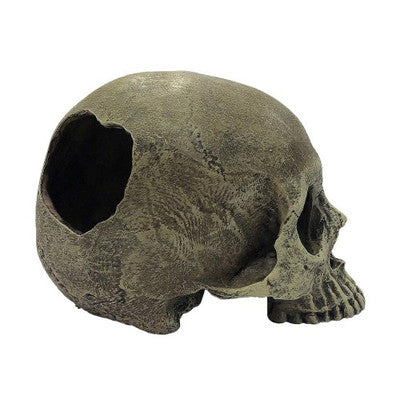 Komodo Half Human Skull Reptile Hideout - Gray Tank Decor Habitat Accessory