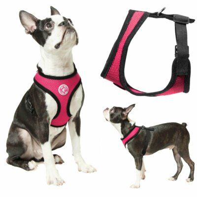 Gooby Soft Mesh Dog Harness - Flamingo Pink - Large, Breathable Small Dog Harness