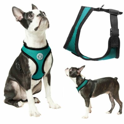 Gooby Small Dog Harness - Choke-Free Soft Mesh, Turquoise, Size Small, 9-13" Chest