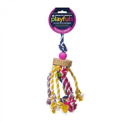Prevue Pet Products Court Jester Bird Toy - Small, Colorful Pull Toy for Birds