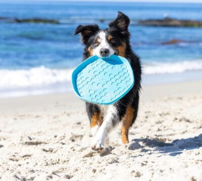 Project Hive Dog Toy Hive Disc Lick Mat - Soothing Vanilla Scent