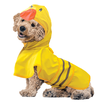 Fashion Pet Just Ducky Raincoat - XS Dog Rain Coat