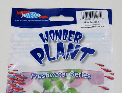 Weco Freshwater Series Lime Bacopa 9in Aquarium Plant