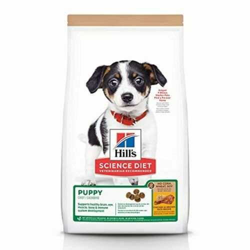 Pangea Fruit Mix Watermelon Complete Gecko Diet - 8 oz