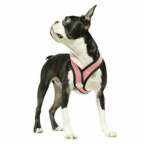 Gooby Soft Mesh Dog Harness - Breathable Small Dog Harness, Turquoise, Medium
