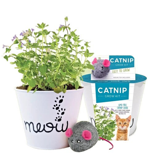 From The Field Catnip Leaf & Flower Blend - 3.5 oz Tub - All Natural Cat Toy