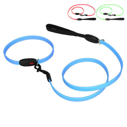 Coastal Accent Metallic Dog Leash - 6ft Long, 5/8in Wide - Burgundy Crowns