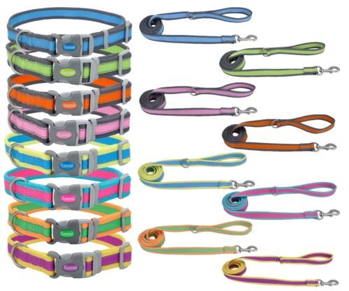 Li'l Pals Spiked Nylon Dog Collar, Neon Pink, 3/8" x 6-8" Adjustable Puppy Collar