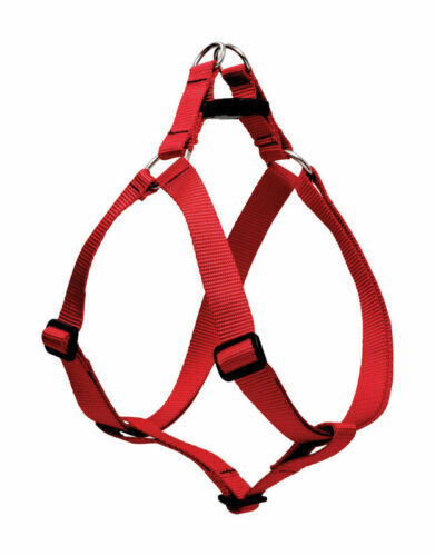 Lupine 3/4 in x 6 ft Social Butterfly Dog Leash