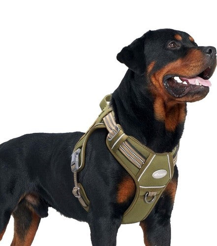 Boss Dog Tactical Harness Patch - PTSD Dog - Large