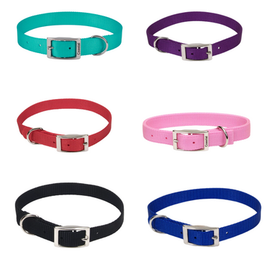 Coastal Pet Nylon Dog Collar, 5/8 in x 12 in, Blue