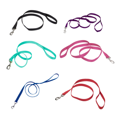 Coastal Pet Single-Ply Nylon Dog Leash - Red, 3/4 Inch x 6 Feet