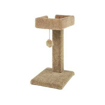 Ware Kitty Cactus Cat Scratcher with Toy - 24 Inch Cat Furniture