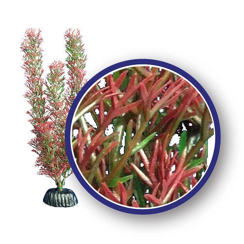 Weco Freshwater Series Red Foxtail 9in Aquarium Plant