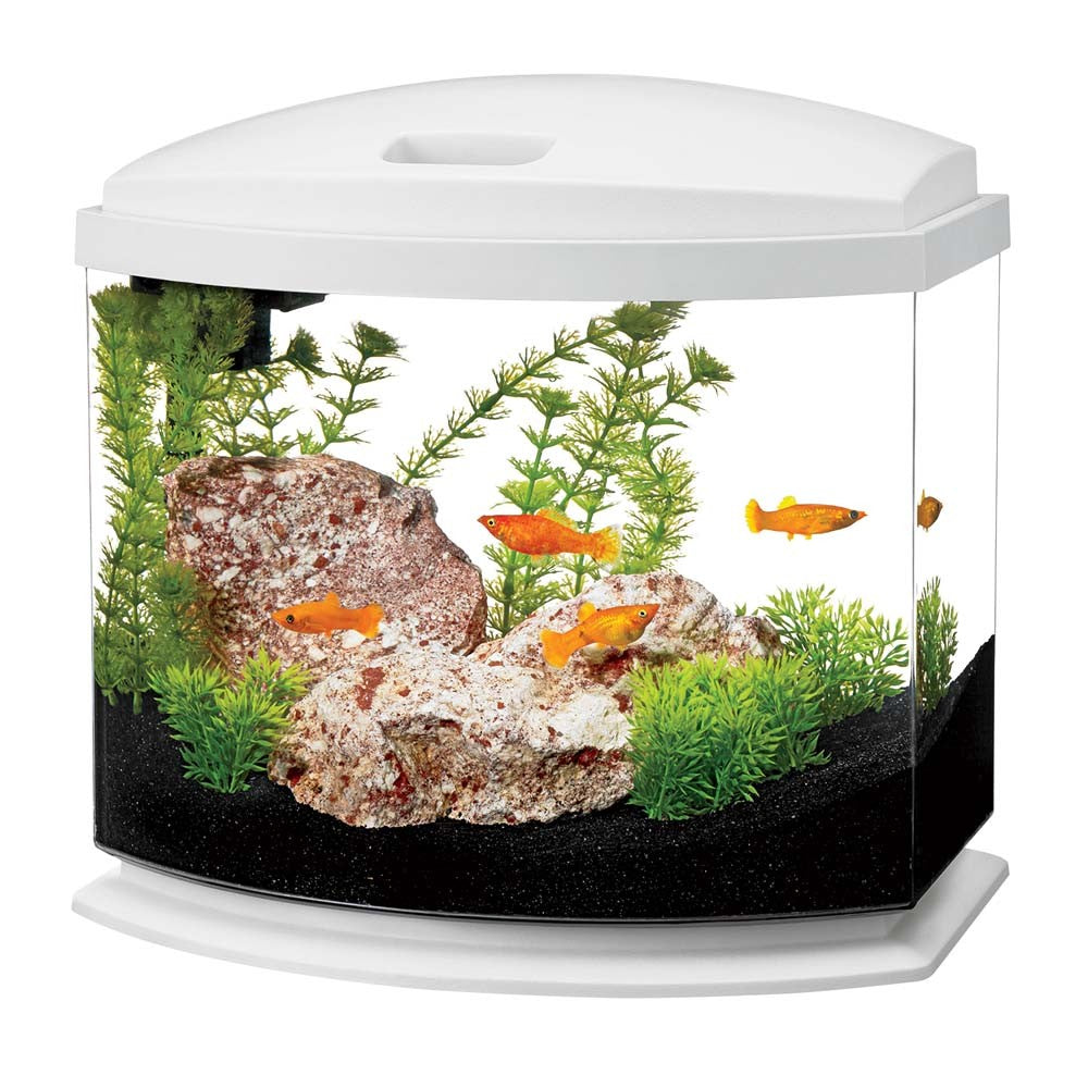 Aqueon 5 Gallon Bow Front LED Aquarium Kit - Mini Fish Tank Starter Kit