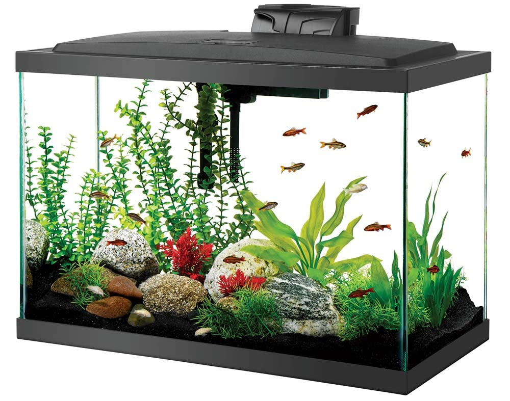 Aqueon LED Aquarium Kit - 20 Gallon - Starter Kit with LED Lighting