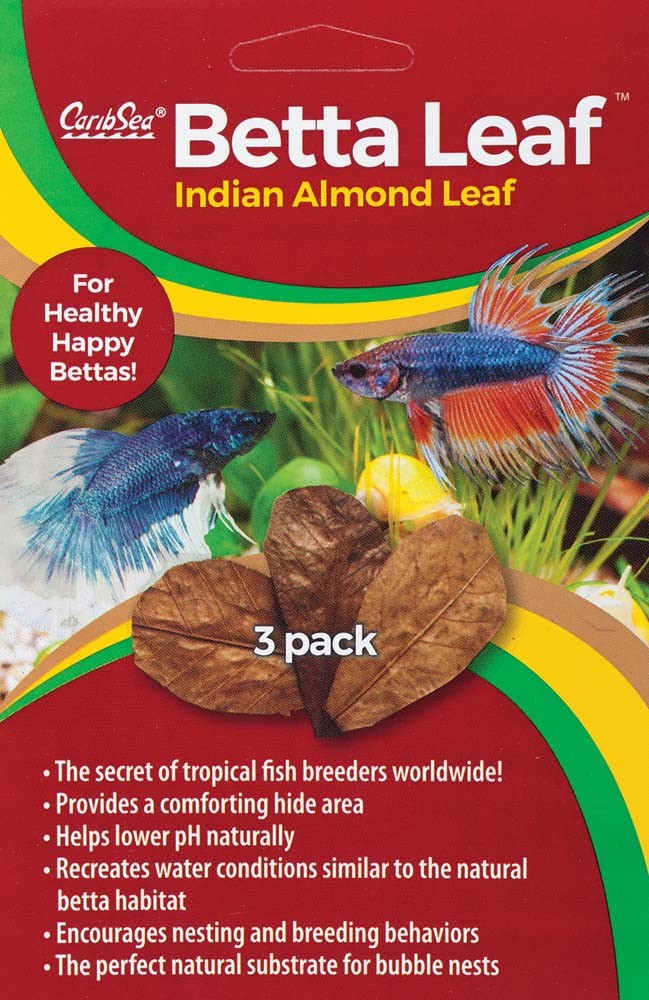 CaribSea Betta Leaf Indian Almond Leaf - Natural Aquarium Decor (3 Pack)