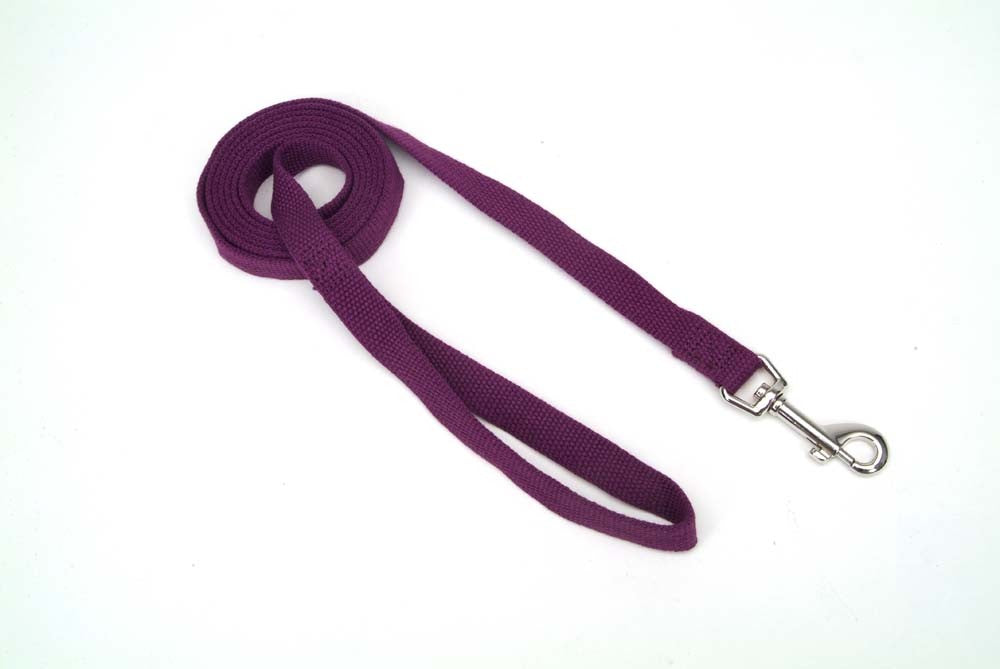 Coastal New Earth Soy Dog Leash, 5/8" x 6', Eggplant - Eco-Friendly Pet Leash