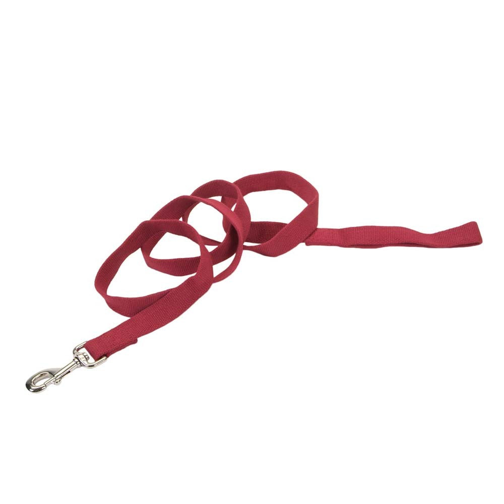 Coastal Pet New Earth Soy Dog Lead - Cranberry - 1" x 6'