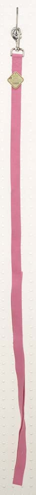 Coastal New Earth Soy Dog Leash - Rose - 1 inch x 6 feet