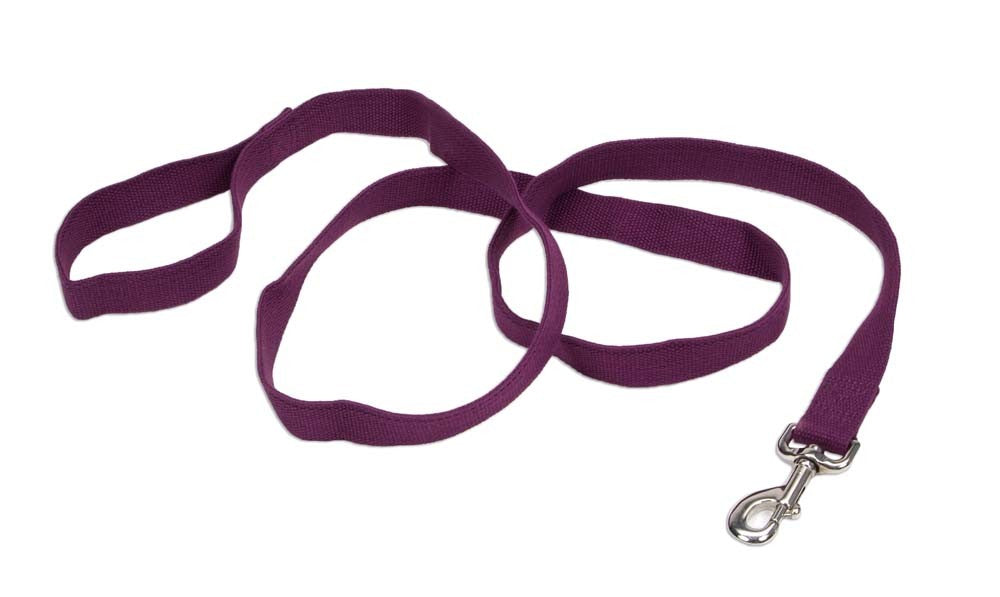 Coastal Soy Dog Leash 1" x 6' - Eggplant Purple - Durable Soy Woven Lead