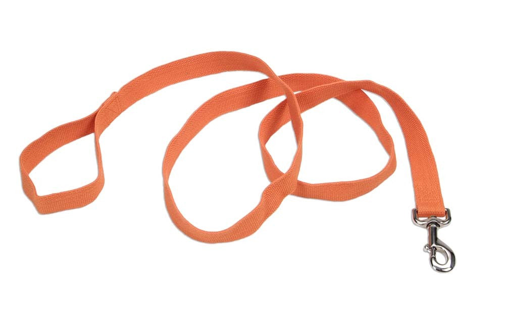 Coastal Pet New Earth Soy Dog Leash - Pumpkin - 1" x 6' - Eco-Friendly Lead