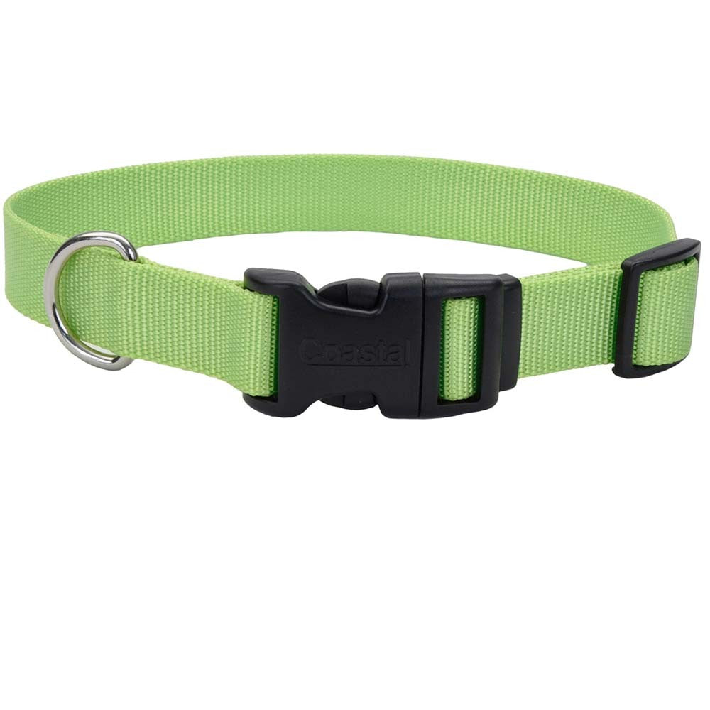 Coastal Adjustable Dog Collar - Lime - 5/8 inch x 10-14 inch