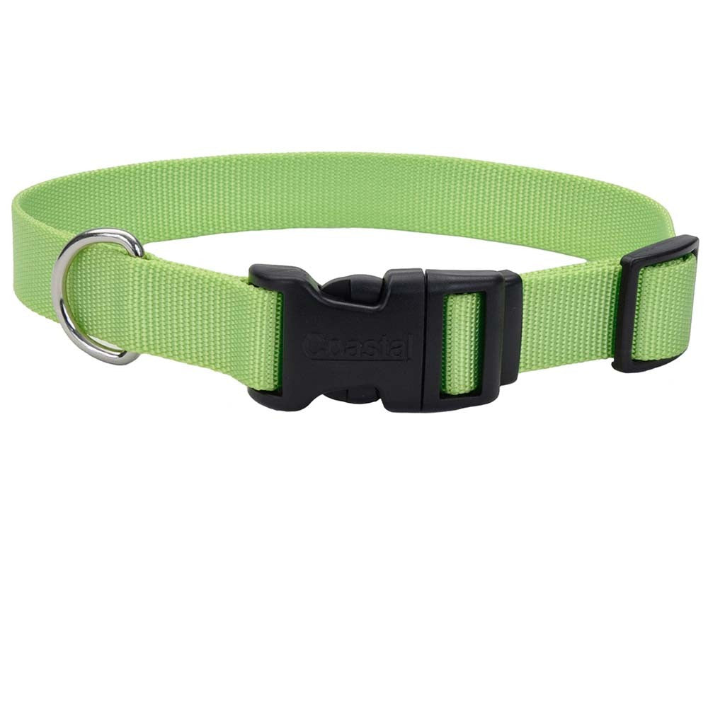 Coastal Pet Tuff Dog Collar, Lime, 3/4 in x 14-20 in, Adjustable Nylon Collar