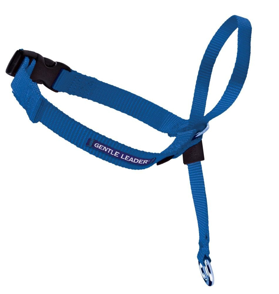 PetSafe Gentle Leader Headcollar - Small, Royal Blue - No-Pull Dog Training Collar