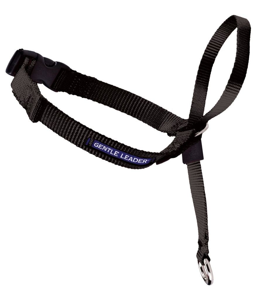 PetSafe Gentle Leader Headcollar - Petite, Black - No-Pull Dog Training Collar