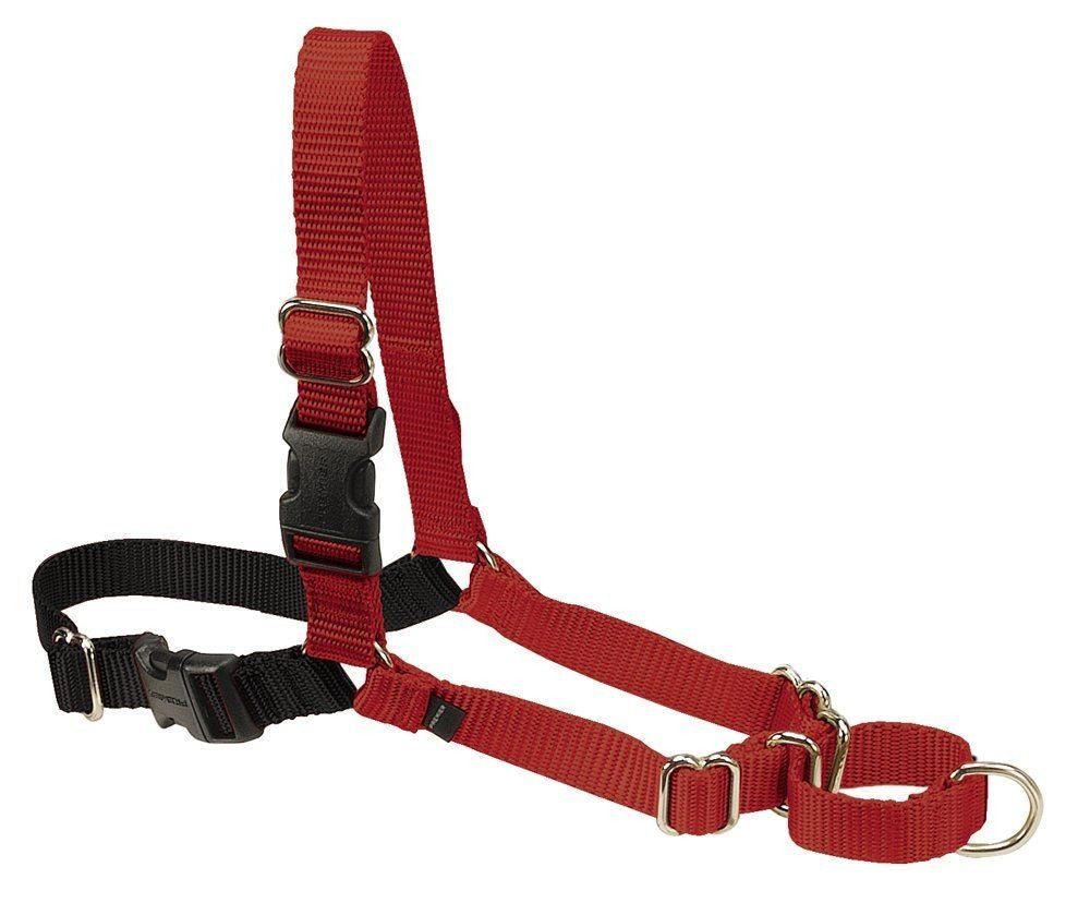 PetSafe Easy Walk Dog Harness - Medium, Red/Black - No-Pull Front Clip