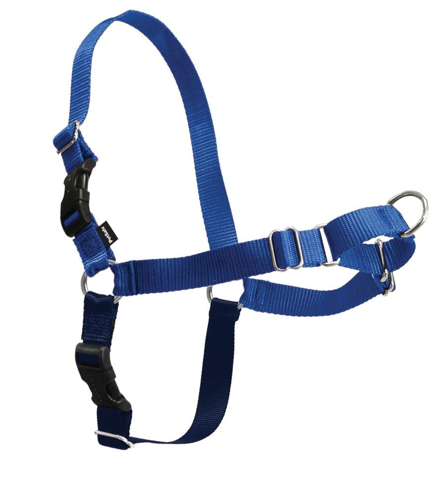PetSafe Easy Walk Dog Harness, Small, Royal Blue/Navy Blue