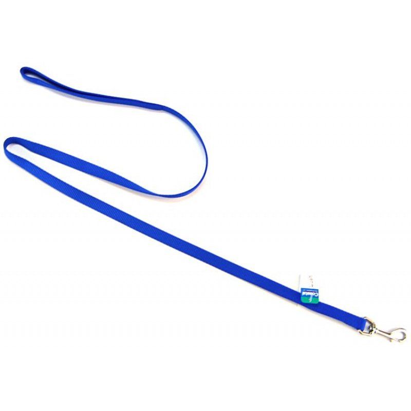 Coastal Pet Dog Lead, Blue, 5/8 inch x 4ft, Nylon Web