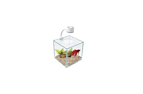 Marina Cubus Glass Betta Kit - 0.9 Gallon Aquarium with LED Light