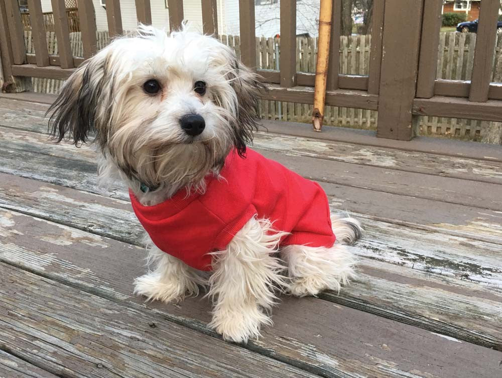 FASHION PET Outdoor Sweatshirt Red XL, Dog Winter Coat, Ethical Pet