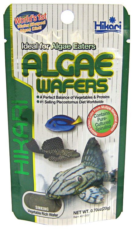 Hikari Algae Wafers Fish Food - Tropical Sinking Wafers for Plecostomus & Algae Eaters - 0.70oz