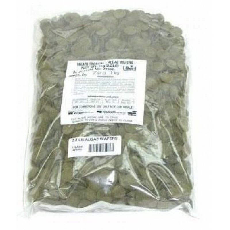 Hikari Sinking Algae Wafers, 2.2 lbs - Pleco & Algae Eater Fish Food