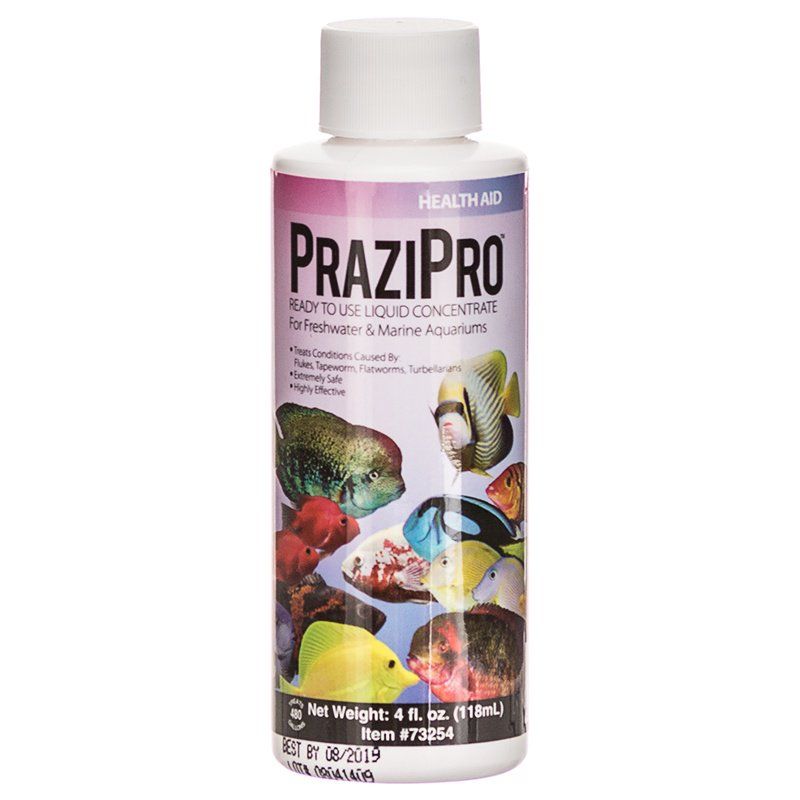 Hikari PraziPro Fish Parasite Treatment - 4 fl oz - Treats Flukes, Tapeworms & Flatworms