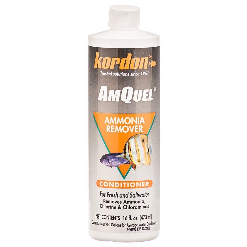 Kordon AmQuel Water Conditioner - Removes Ammonia, Chlorine, Chloramine - 16 oz