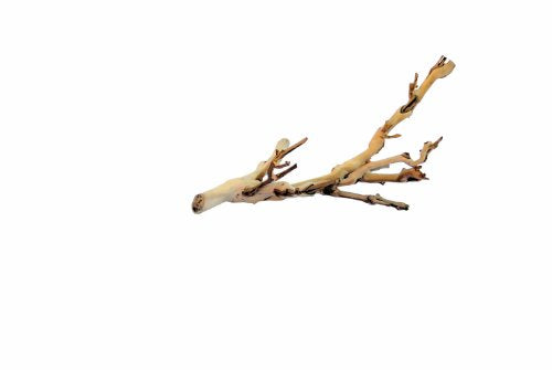 Exo Terra Forest Branch Small - Reptile Terrarium Decor