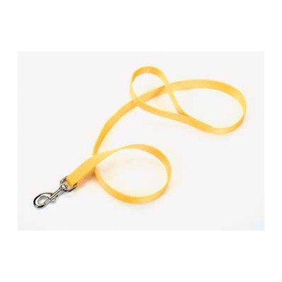 Coastal Single-Ply Nylon Dog Leash Blue 3/4 in x 4 ft