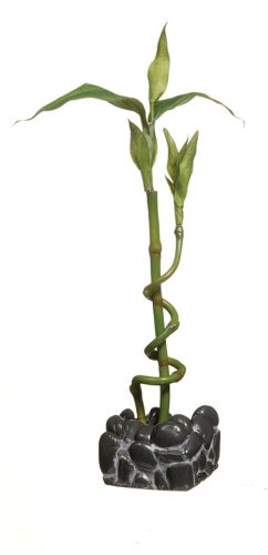 Hagen Exo Terra Fluval Chi Lily Flower Aquarium Ornament