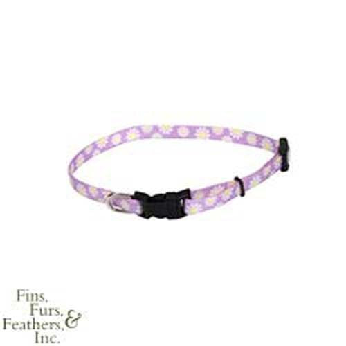 Li'l Pals Dog Collar - Daisies Multicolor - Adjustable - 3/8-in x 8-12-in