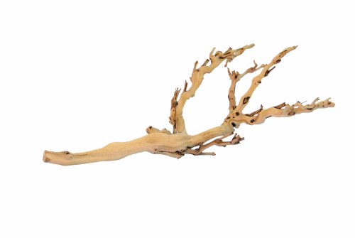 Exo Terra Forest Branch - Medium Reptile Terrarium Decor