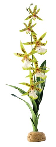 Exo Terra Spider Orchid - Artificial Terrarium Plant - PT2991 - Reptile & Amphibian Decor